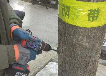 病蟲(chóng)害防治